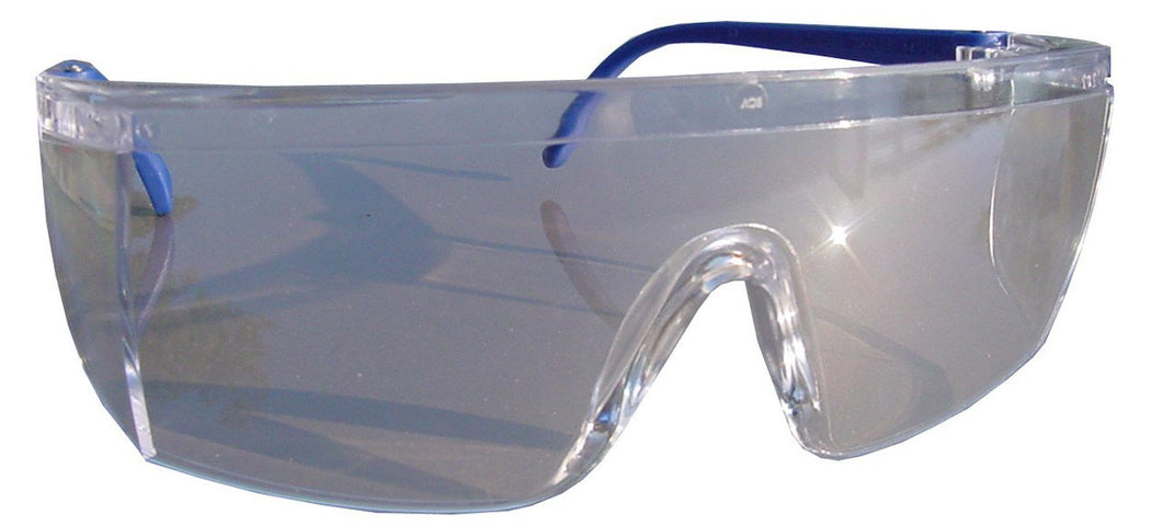 PROFESSIONAL SAFETY GLASSES